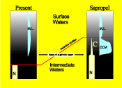 Fig. 4. DCM